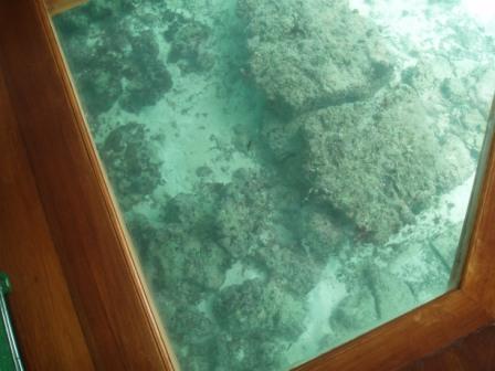 Maldives Sea Window